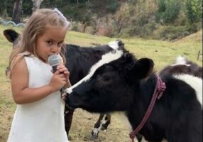 幼い女の子の完璧なインタビュー。仔ウシに「モ～」と言ってもらうためにした質問とは！？