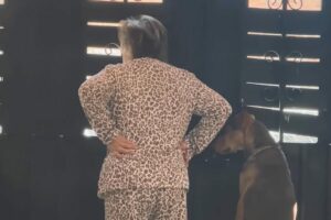 ふたりの後ろ姿にほっこり。表の様子をうかがう女性と、そのまねっこをする愛犬【海外・動画】