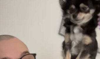 パパさんをふみふみマッサージ！かまってほしい愛犬がかわいすぎる！！【海外・動画】