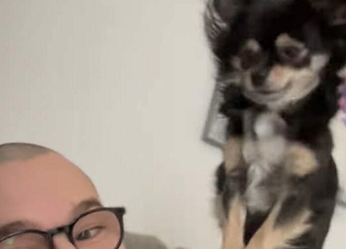 パパさんをふみふみマッサージ！かまってほしい愛犬がかわいすぎる！！【海外・動画】