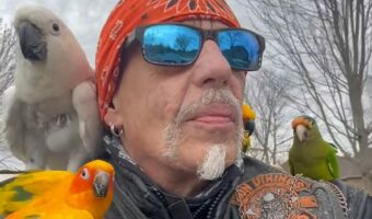 みんなで仲良くツーリング!バイクに一緒に乗るのはインコたち!!【アメリカ・動画】