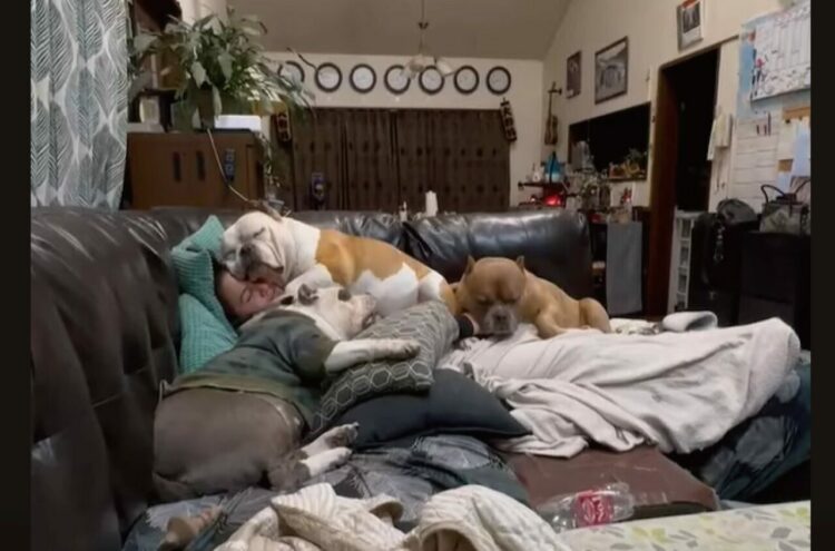 子犬たちと一緒にお昼寝！？だけどこの状況だと・・眠れなさそう