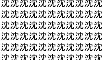 【脳トレ】「沈」の中に紛れて1つ違う文字がある！？あなたは何秒で探し出せるかな？？【違う文字を探せ！】