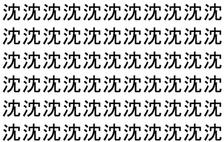 【脳トレ】「沈」の中に紛れて1つ違う文字がある！？あなたは何秒で探し出せるかな？？【違う文字を探せ！】