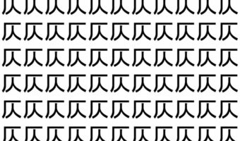 【脳トレ】「仄」の中に紛れて1つ違う文字がある!?あなたは何秒で探し出せるかな??【違う文字を探せ!】