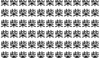 【脳トレ】「柴」の中に紛れて1つ違う文字がある!?あなたは何秒で探し出せるかな??【違う文字を探せ!】