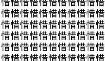 【脳トレ】「惜」の中に紛れて1つ違う文字がある!?あなたは何秒で探し出せるかな??【違う文字を探せ!】