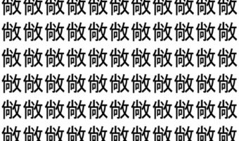 【脳トレ】「敞」の中に紛れて1つ違う文字がある！？あなたは何秒で探し出せるかな？？【違う文字を探せ！】