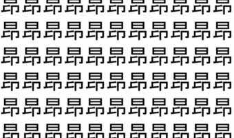 【脳トレ】「昂」の中に紛れて1つ違う文字がある!?あなたは何秒で探し出せるかな??【違う文字を探せ!】
