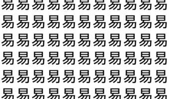 【脳トレ】「易」の中に紛れて1つ違う文字がある!?あなたは何秒で探し出せるかな??【違う文字を探せ!】
