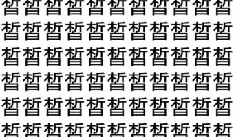 【脳トレ】「皙」の中に紛れて1つ違う文字がある！？あなたは何秒で探し出せるかな？？【違う文字を探せ！】