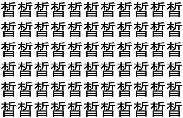 【脳トレ】「皙」の中に紛れて1つ違う文字がある！？あなたは何秒で探し出せるかな？？【違う文字を探せ！】