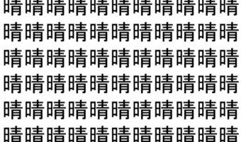 【脳トレ】「晴」の中に紛れて1つ違う文字がある!?あなたは何秒で探し出せるかな??【違う文字を探せ!】