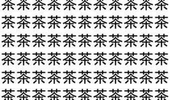 【脳トレ】「茶」の中に紛れて1つ違う文字がある!?あなたは何秒で探し出せるかな??【違う文字を探せ!】