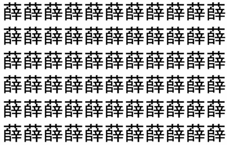 【脳トレ】「薛」の中に紛れて1つ違う文字がある！？あなたは何秒で探し出せるかな？？【違う文字を探せ！】