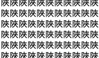 【脳トレ】「陜」の中に紛れて1つ違う文字がある!?あなたは何秒で探し出せるかな??【違う文字を探せ!】