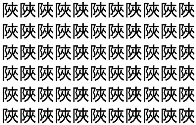 【脳トレ】「陜」の中に紛れて1つ違う文字がある！？あなたは何秒で探し出せるかな？？【違う文字を探せ！】