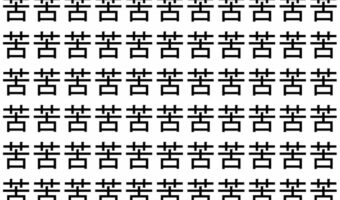 【脳トレ】「苦」の中に紛れて1つ違う文字がある!?あなたは何秒で探し出せるかな??【違う文字を探せ!】