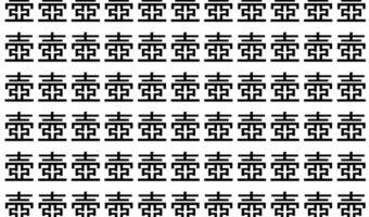 【脳トレ】「壺」の中に紛れて1つ違う文字がある!?あなたは何秒で探し出せるかな??【違う文字を探せ!】