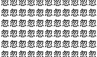 【脳トレ】「忽」の中に紛れて1つ違う文字がある!?あなたは何秒で探し出せるかな??【違う文字を探せ!】