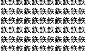 【脳トレ】「鉃」の中に紛れて1つ違う文字がある!?あなたは何秒で探し出せるかな??【違う文字を探せ!】