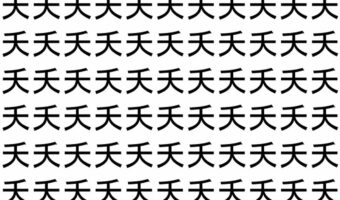 【脳トレ】「夭」の中に紛れて1つ違う文字がある!?あなたは何秒で探し出せるかな??【違う文字を探せ!】