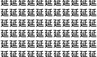 【脳トレ】「延」の中に紛れて1つ違う文字がある!?あなたは何秒で探し出せるかな??【違う文字を探せ!】