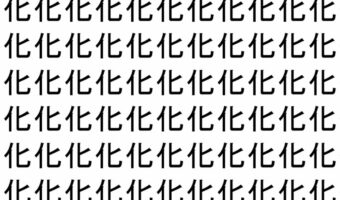 【脳トレ】「化」の中に紛れて1つ違う文字がある!?あなたは何秒で探し出せるかな??【違う文字を探せ!】