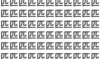 【脳トレ】「匹」の中に紛れて1つ違う文字がある!?あなたは何秒で探し出せるかな??【違う文字を探せ!】