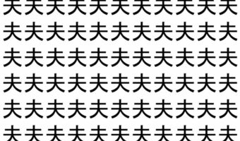 【脳トレ】「夫」の中に紛れて1つ違う文字がある！？あなたは何秒で探し出せるかな？？【違う文字を探せ！】