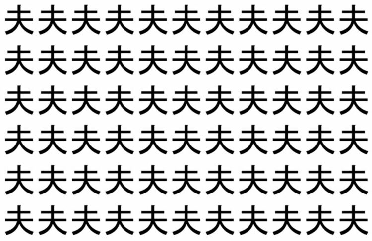 【脳トレ】「夫」の中に紛れて1つ違う文字がある！？あなたは何秒で探し出せるかな？？【違う文字を探せ！】