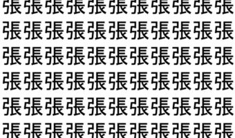 【脳トレ】「張」の中に紛れて1つ違う文字がある！？あなたは何秒で探し出せるかな？？【違う文字を探せ！】