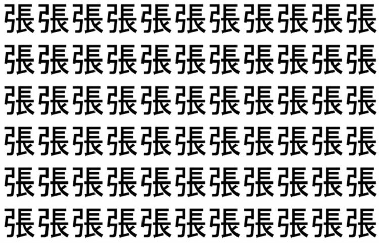 【脳トレ】「張」の中に紛れて1つ違う文字がある！？あなたは何秒で探し出せるかな？？【違う文字を探せ！】