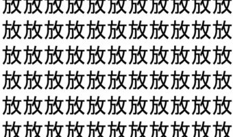 【脳トレ】「放」の中に紛れて1つ違う文字がある!?あなたは何秒で探し出せるかな??【違う文字を探せ!】