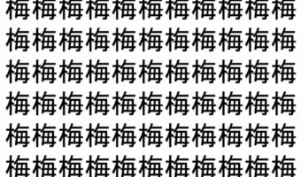 【脳トレ】「梅」の中に紛れて1つ違う文字がある!?あなたは何秒で探し出せるかな??【違う文字を探せ!】