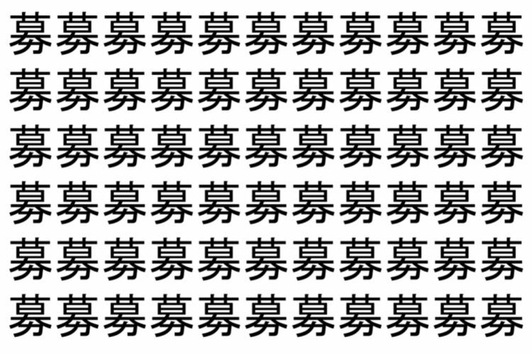 【脳トレ】「募」の中に紛れて1つ違う文字がある！？あなたは何秒で探し出せるかな？？【違う文字を探せ！】