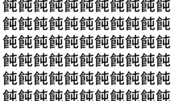 【脳トレ】「飩」の中に紛れて1つ違う文字がある!?あなたは何秒で探し出せるかな??【違う文字を探せ!】