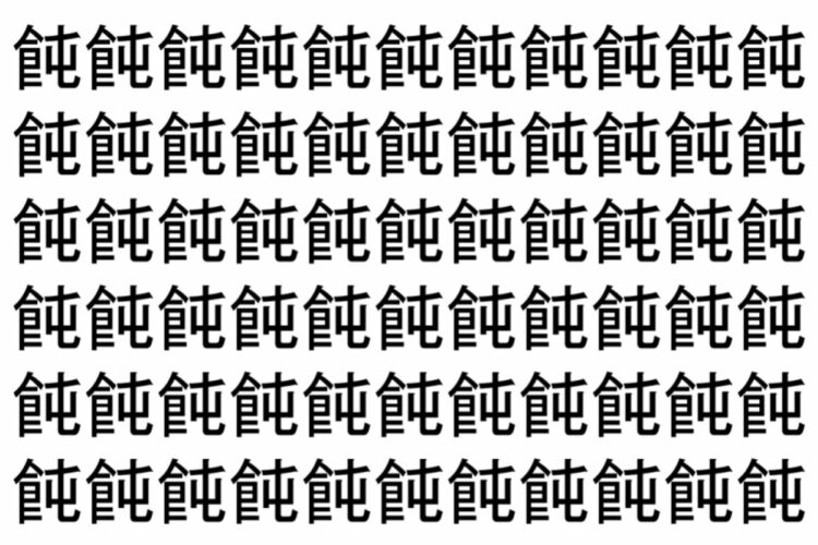 【脳トレ】「飩」の中に紛れて1つ違う文字がある！？あなたは何秒で探し出せるかな？？【違う文字を探せ！】