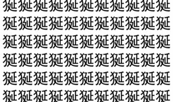 【脳トレ】「狿」の中に紛れて1つ違う文字がある!?あなたは何秒で探し出せるかな??【違う文字を探せ!】