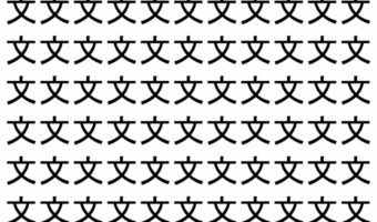 【脳トレ】「文」の中に紛れて1つ違う文字がある!?あなたは何秒で探し出せるかな??【違う文字を探せ!】