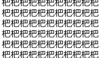 【脳トレ】「杷」の中に紛れて1つ違う文字がある!?あなたは何秒で探し出せるかな??【違う文字を探せ!】