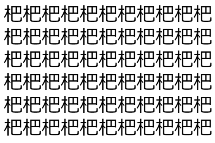 【脳トレ】「杷」の中に紛れて1つ違う文字がある！？あなたは何秒で探し出せるかな？？【違う文字を探せ！】