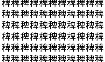 【脳トレ】「稗」の中に紛れて1つ違う文字がある!?あなたは何秒で探し出せるかな??【違う文字を探せ!】