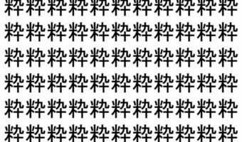 【脳トレ】「粋」の中に紛れて1つ違う文字がある!?あなたは何秒で探し出せるかな??【違う文字を探せ!】