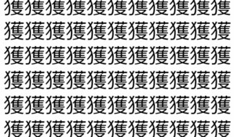 【脳トレ】「獲」の中に紛れて1つ違う文字がある!?あなたは何秒で探し出せるかな??【違う文字を探せ!】