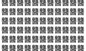 【脳トレ】「䤗」の中に紛れて1つ違う文字がある!?あなたは何秒で探し出せるかな??【違う文字を探せ!】