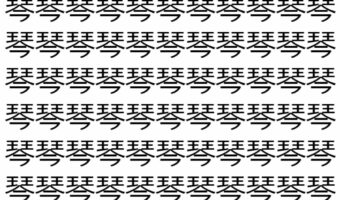 【脳トレ】「琴」の中に紛れて1つ違う文字がある!?あなたは何秒で探し出せるかな??【違う文字を探せ!】