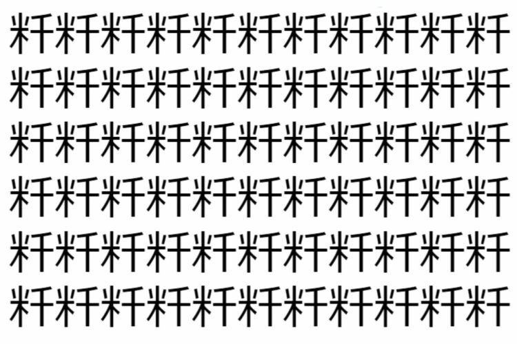 【脳トレ】「粁」の中に紛れて1つ違う文字がある！？あなたは何秒で探し出せるかな？？【違う文字を探せ！】