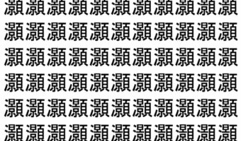 【脳トレ】「灝」の中に紛れて1つ違う文字がある!?あなたは何秒で探し出せるかな??【違う文字を探せ!】