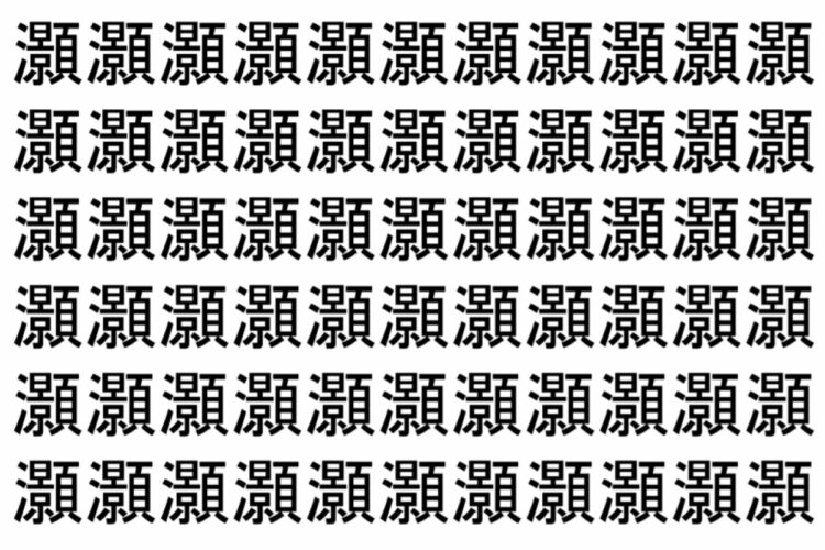 【脳トレ】「灝」の中に紛れて1つ違う文字がある！？あなたは何秒で探し出せるかな？？【違う文字を探せ！】